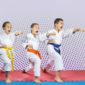 Martial Arts Lessons for Kids in Woburn MA - Punching Focus Kids Sync